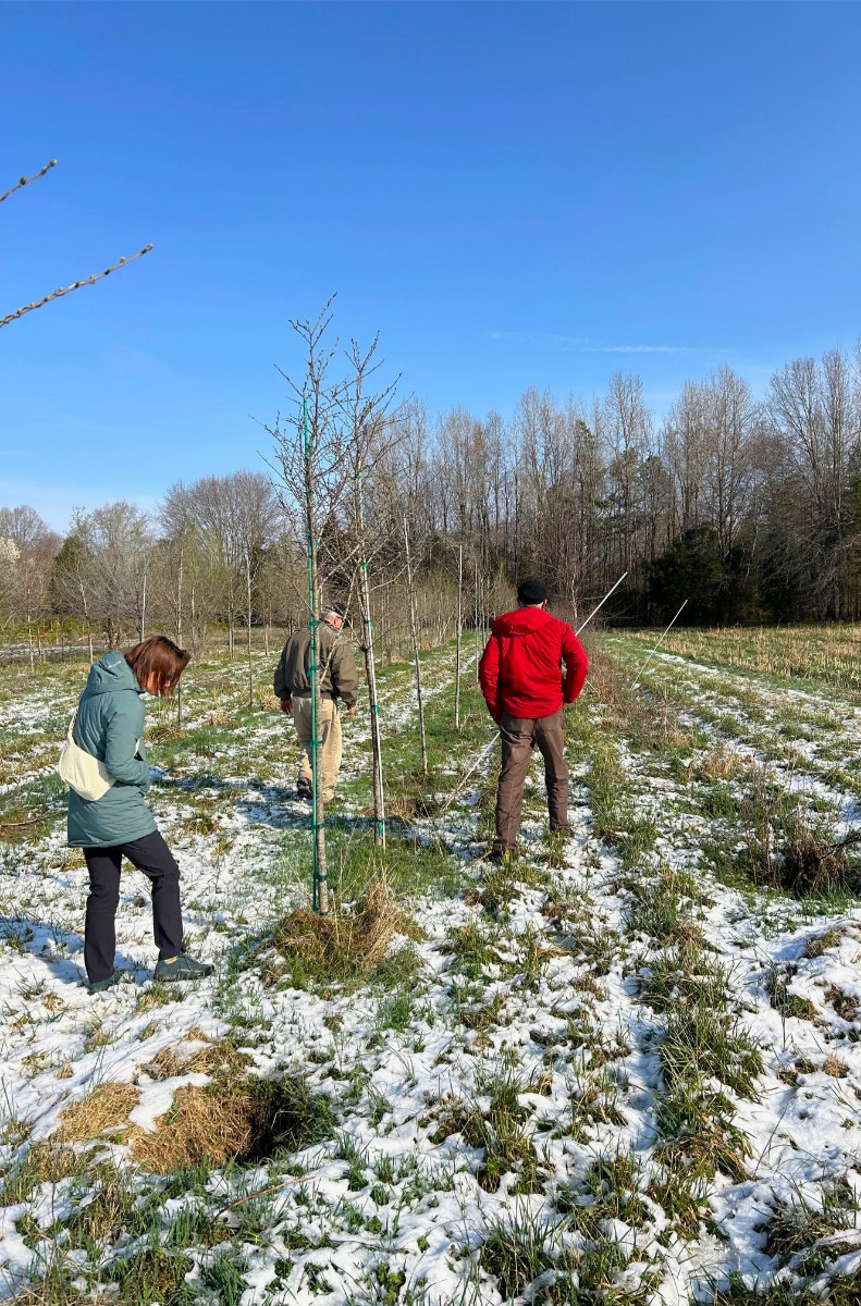 KTE On the Job: Arlington National Cemetery Tree Tagging [March 2026]