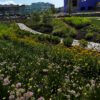 KTE On the Job: Potomac Shores Central Park Before and After [2025 – 2026]