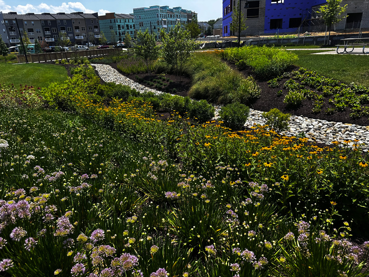 KTE On the Job: Potomac Shores Central Park Before and After [2025 – 2026]
