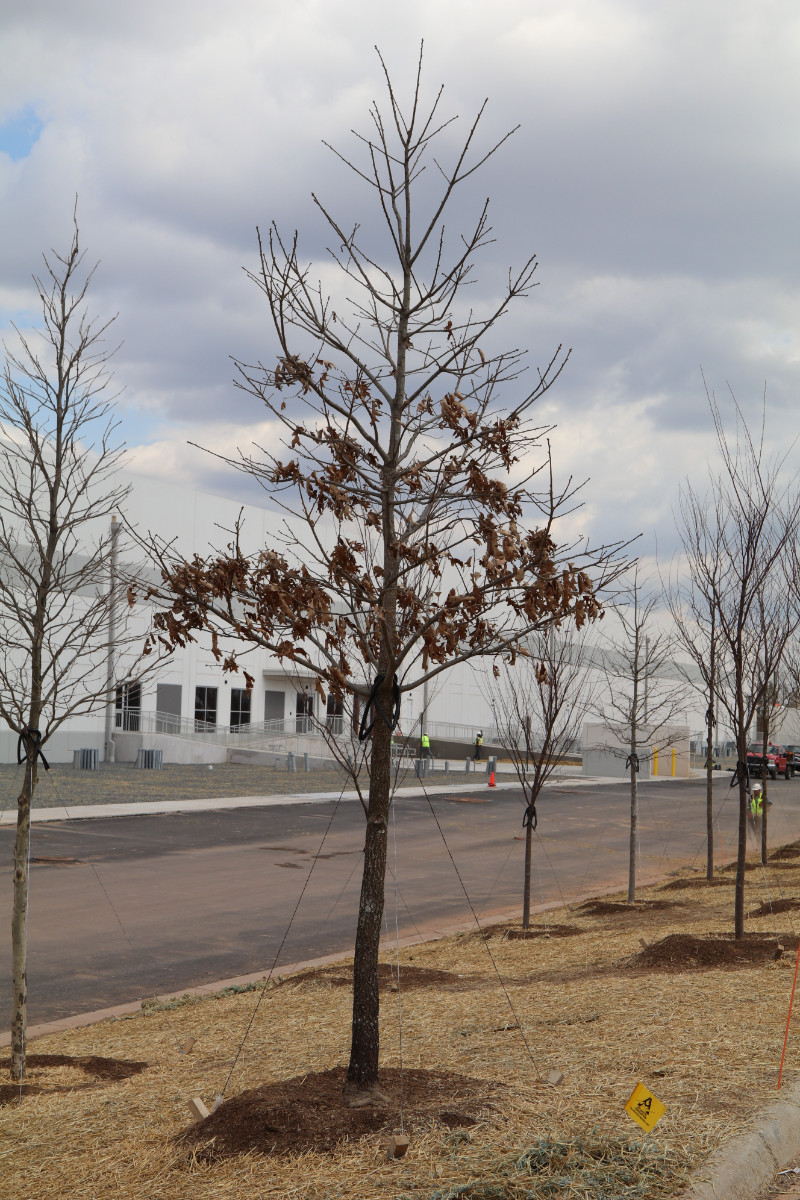 KTE On the Job:  Northern Virginia Data Center; March 2019